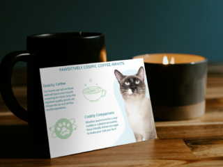 Cats and Saucers